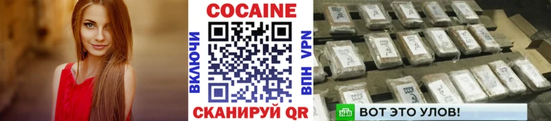 Cocaine FishScale  Купить где  Саяногорск 