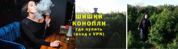 индика Магадан
