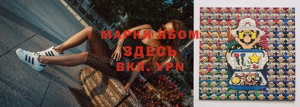 индика Магадан